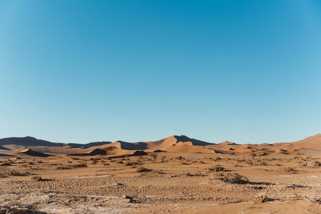 Explore the expansive sand dunes under a clear blue sky in Namibia's Namib Desert.